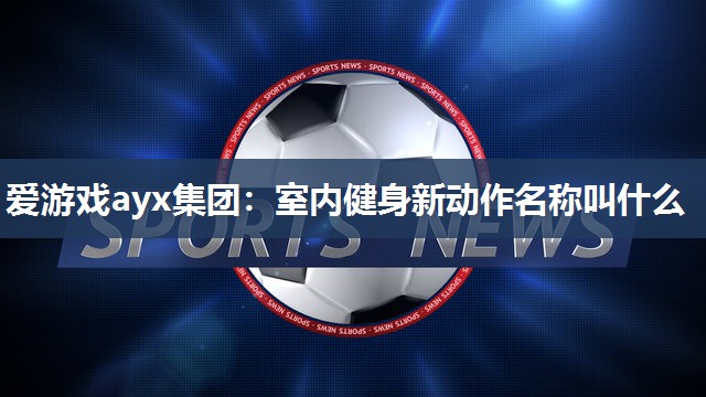 爱游戏ayx集团：室内健身新动作名称叫什么