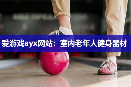 爱游戏ayx网站：室内老年人健身器材