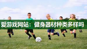 爱游戏网站：健身器材种类多样吗