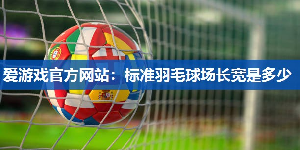 爱游戏官方网站：标准羽毛球场长宽是多少