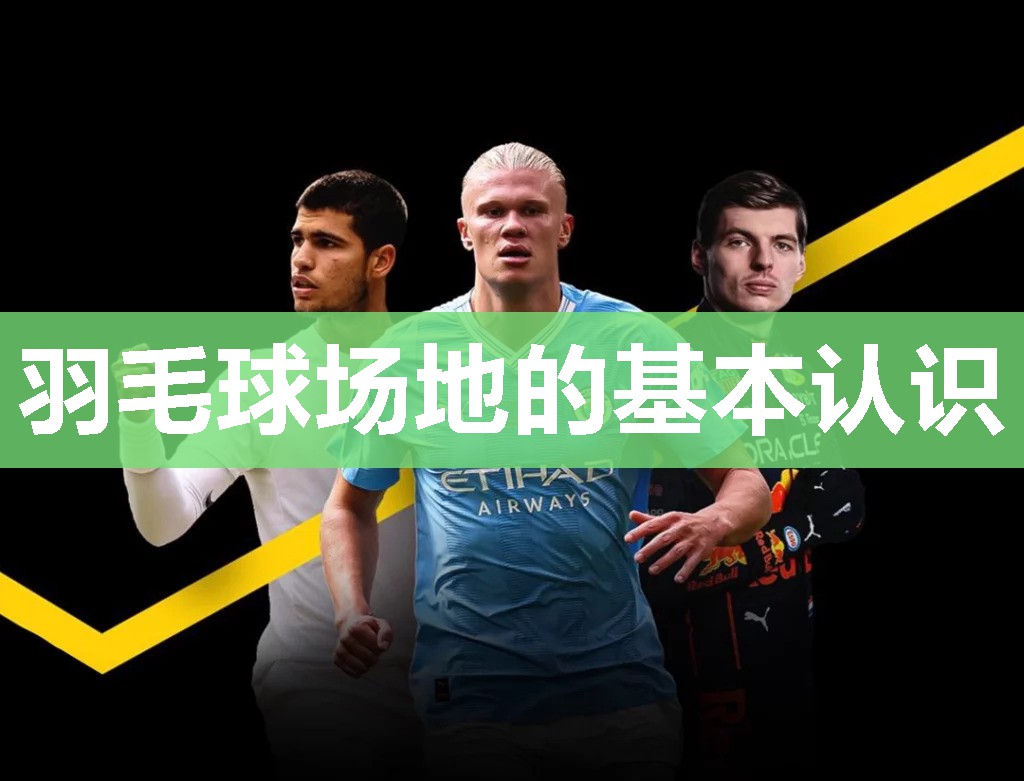 羽毛球场地的基本认识