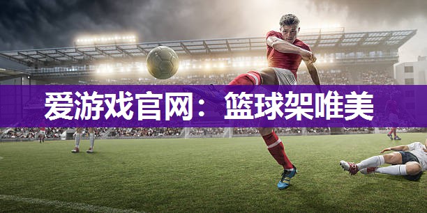 爱游戏官网：篮球架唯美