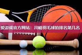 川崎羽毛球拍排名第几名
