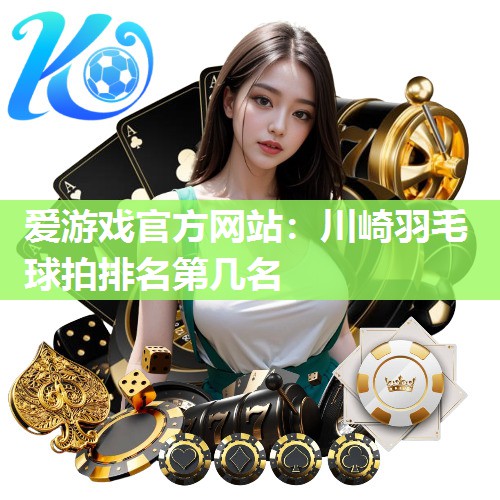 川崎羽毛球拍排名第几名