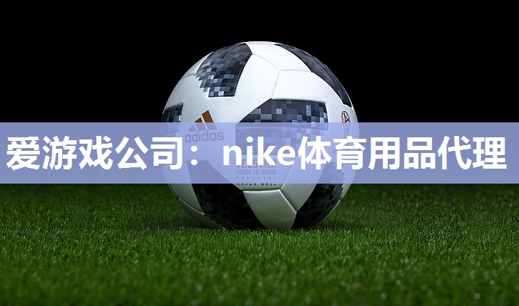 nike体育用品代理