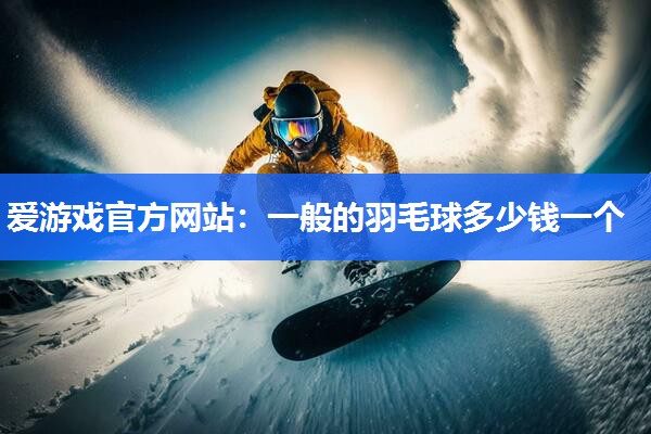 一般的羽毛球多少钱一个