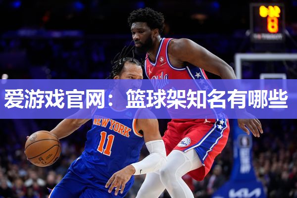 篮球架知名有哪些