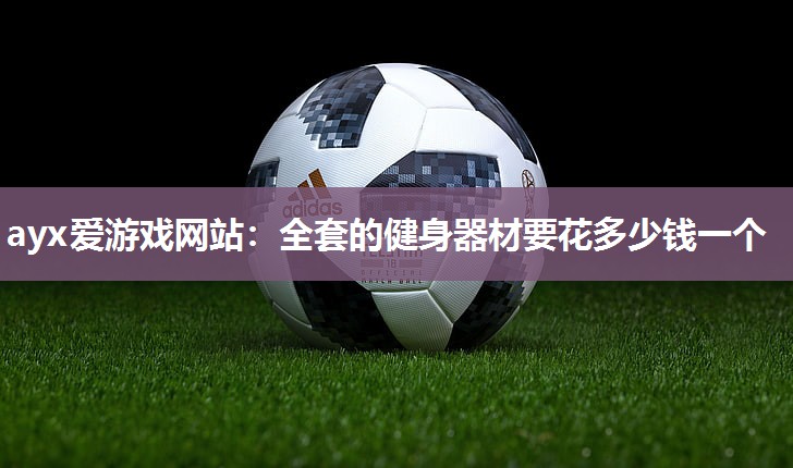 全套的健身器材要花多少钱一个
