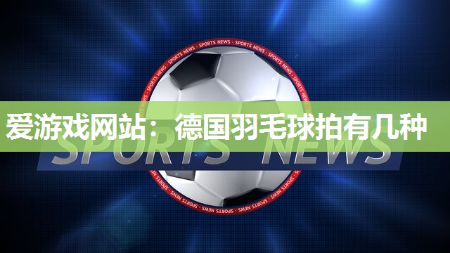 德国羽毛球拍有几种